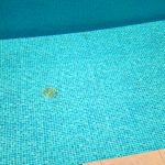 WP_20170705_09_50_14_Pro