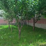 WP_20170705_09_51_04_Pro